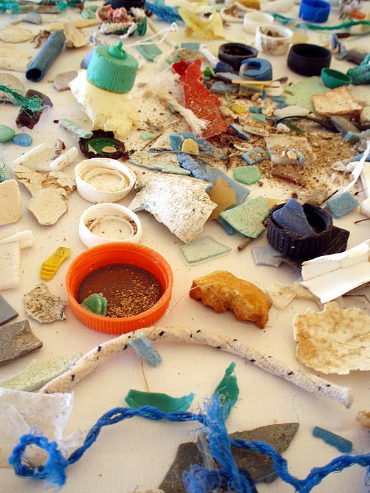 Microplastics In Seafood, Should We Be Worried? | Science Times