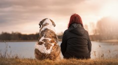 Science Times - 3 Ways to Help Pets Overcome Separation Anxiety