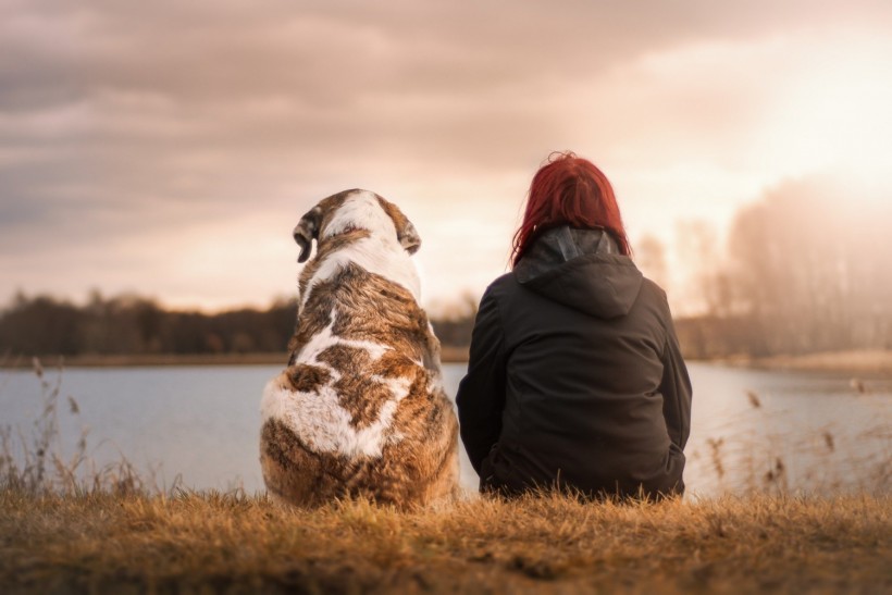 Science Times - 3 Ways to Help Pets Overcome Separation Anxiety