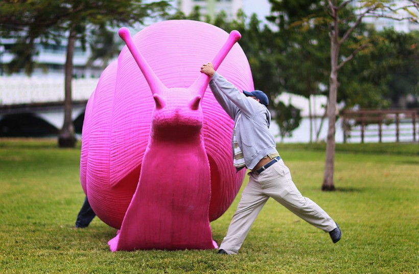 Vandals Targeting Pink Snail Art Installations Throughout Miami