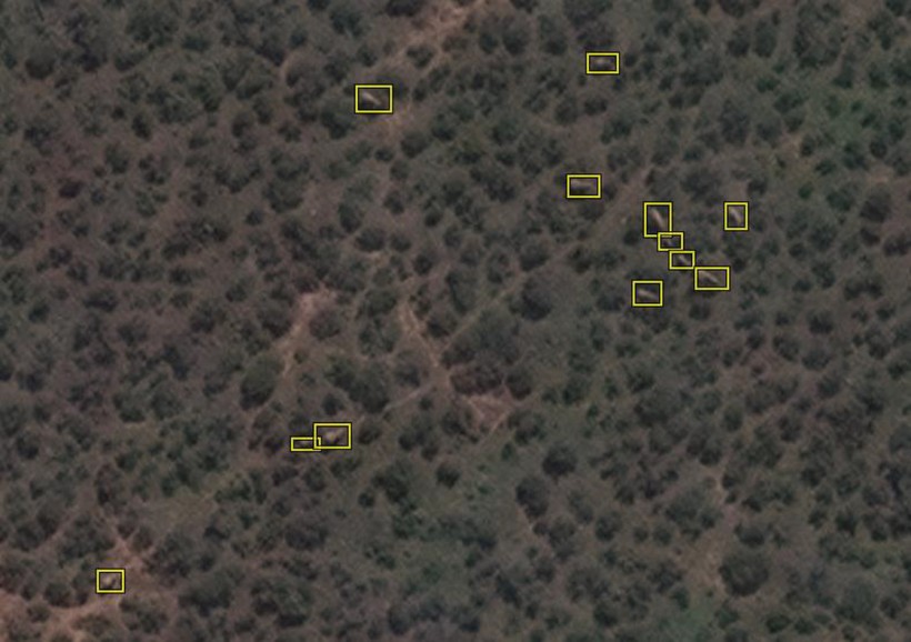  Scientists Counted Elephants From Space Using Satellite Cameras