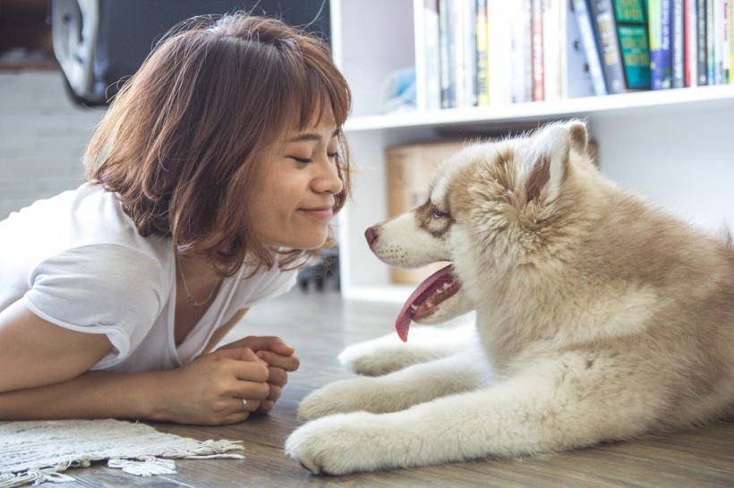 Science Times - Man’s Best Friend No More: Does a Dog Now Belong to a Woman?
