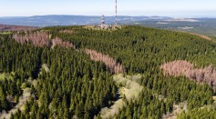 Forests Suffer During Prolonged Dry Weather