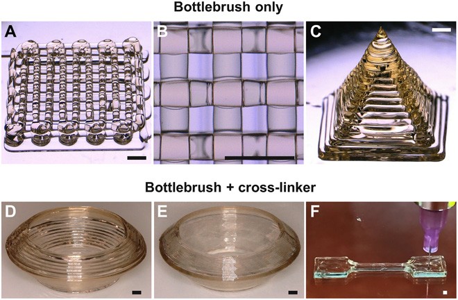  Researchers 3D-Printed Super Elastic Elastomers That Resembles Human Tissue
