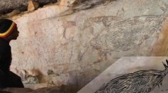 Australia's Oldest Rock Painting Is Of Its Most Iconic Animal, the Kangaroo