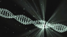 Science Times - Nanobodies Could Help CRISPR Genetic Tool to Switch Genes ‘On’ and ‘Off’