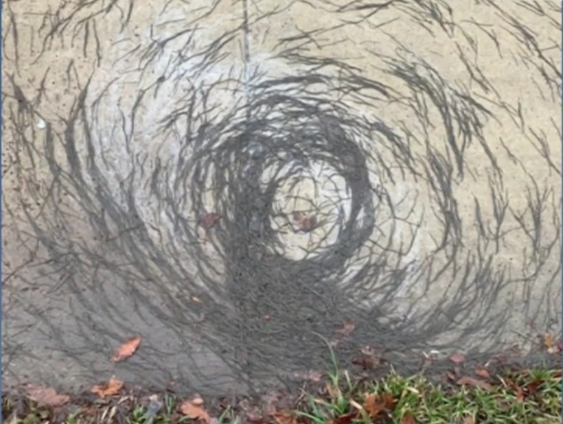  Worm Tornado Appears In New Jersey After Rain Leaving Scientists Baffled 