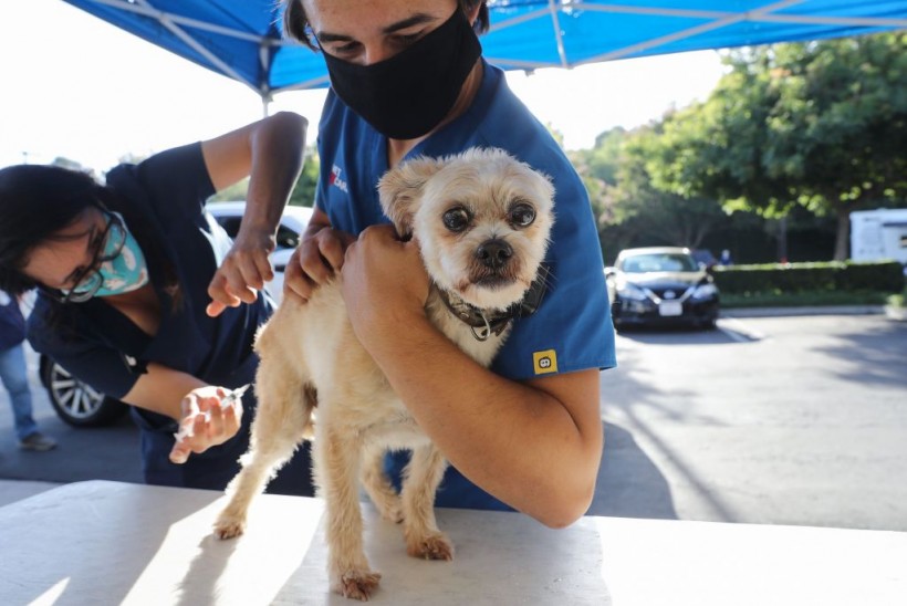 Drive Through Pet Vaccine Clinic Held Amid COVID-19 Pandemic