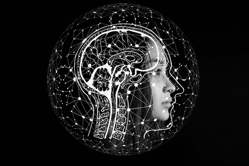  76 Genes Affect Variation in Brain and Facial Structure But Not Cognitive Ability, Debunking Pseudoscience Beliefs [STUDY]