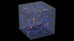 Visualization of Vortices in a Quantum Fluid Turbulence