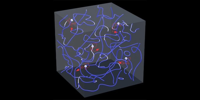 Visualization of Vortices in a Quantum Fluid Turbulence