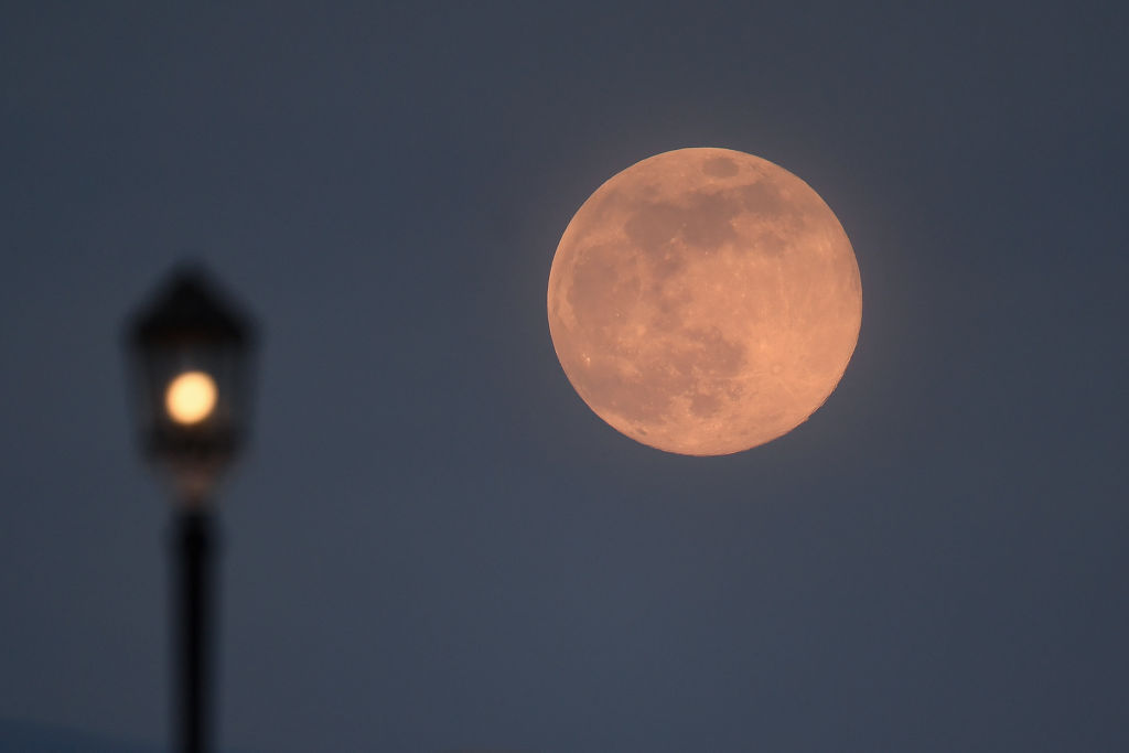 April Pink Moon 2021 Why Do We Have Supermoons Blood Moons And Pink Moons Science Times