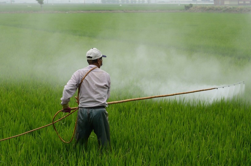  Pesticides Exposure Increases Susceptibility to COVID-19, Study Finds