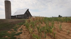 Midwest Farmers Continue To Struggle Against Extended Drought