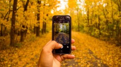 Science Times - Photo-Taking Can Damage Your Memory, Research Shows