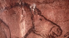 Prehistoric Cave Art Of Horse, France.