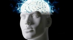 Science Times - Human Brain Activity Now Recordable Through Wireless Approach, New Study Reveals