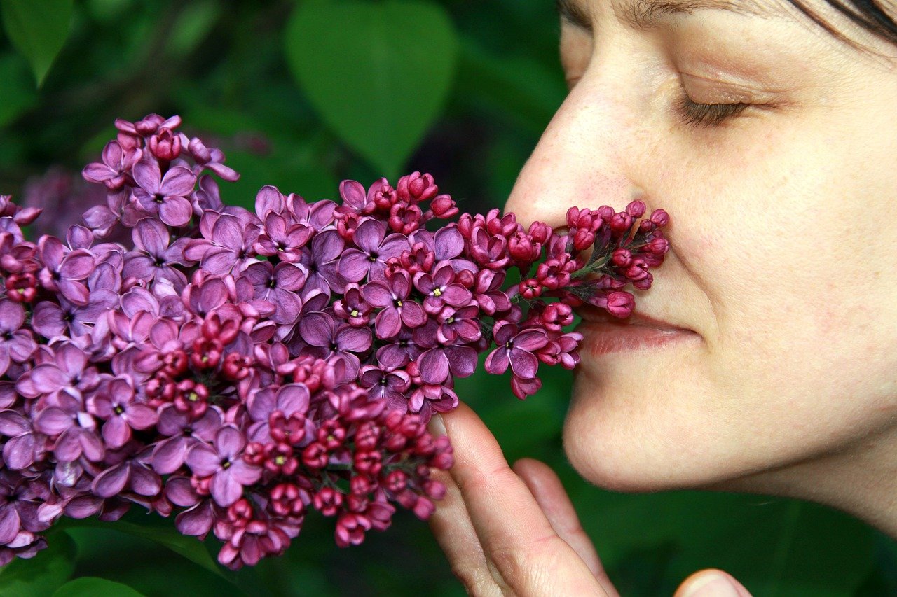 If you don’t smell well, you have a 50% chance of getting pneumonia. [STUDY]