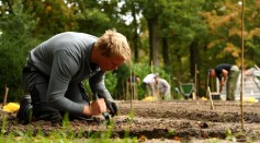 Keukenhof Gardens Plant Flower Bulbs For Next Season