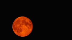 Science Times - Blood Supermoon: The Best Time, Sites to See This Rare Event