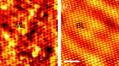 STM images of (b) monolayer (ML) and (c) bilayer (BL) graphene. Scale bar: 1 nm.