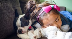  Children Sleeping With Their Dogs Maintain Good Sleep Quality As Those Who Sleep Alone, Debunking Long-Held Belief