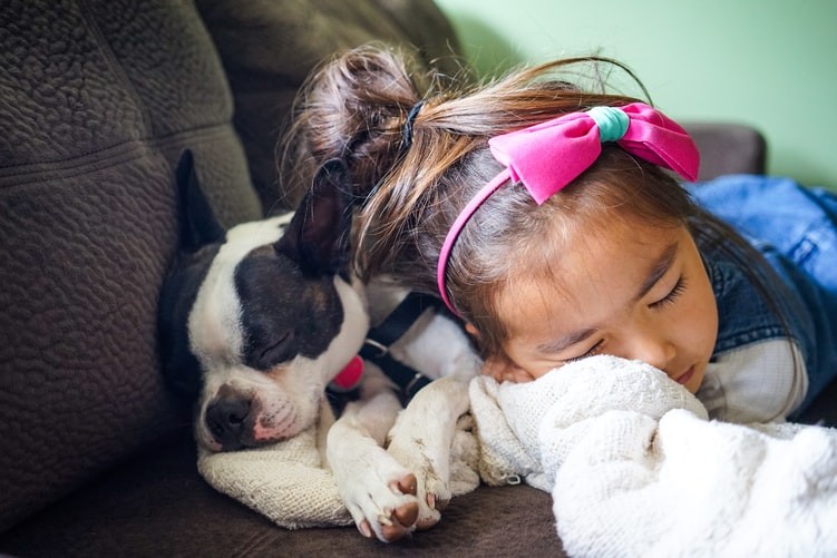  Children Sleeping With Their Dogs Maintain Good Sleep Quality As Those Who Sleep Alone, Debunking Long-Held Belief