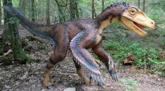 Modell eines Velociraptors