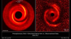 Protoplanetary Disk Simulated Spiral Arm vs Observational Data