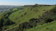 Folkestone Downs - geograph.org.uk - 2108002