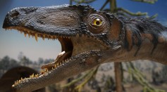  Dinosaurs Lived in the Arctic Year-Round Where they Endured Freezing Winter and Darkness, Study Reveals
