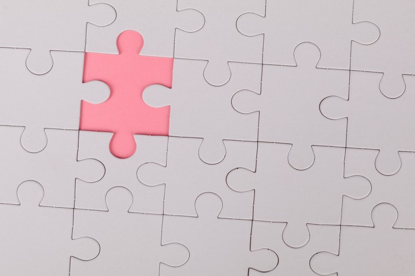 pink-jigsaw-puzzle-piece-3482441