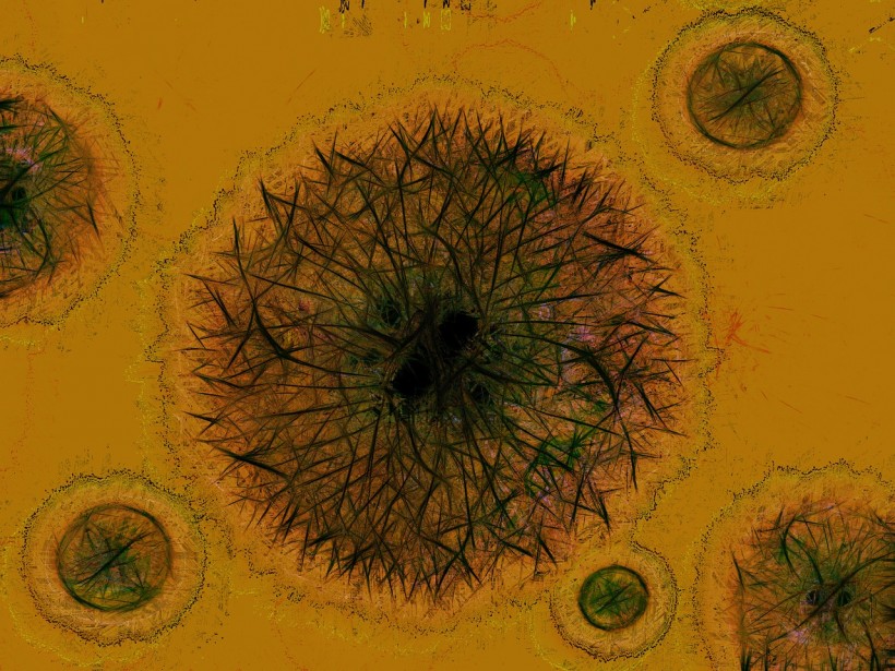  Seeing Individual Cells is Now Possible With New Technique that Uses Sound