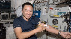 Japanese Aerospace Exploration Agency astronaut Akihiko Hoshide poses for a photo after undergoing a generic blood draw in the European Laboratory/Columbus Orbital Facility (COF)