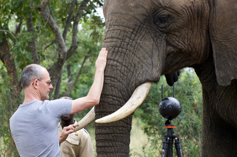 The combination of motion capture experiments and medical imaging reveals how an elephant controls the movements of its trunk. Here, Michel Milinkovitch and one of the elephants used in this study, Bela Bela, South Africa.