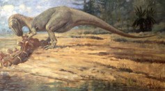 Allosaurus_eating.jpg