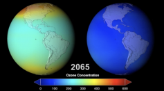 Protecting the Ozone Layer Also Protects Earth’s Ability to Sequester Carbon