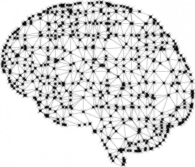 Neuroplasticity-Inspired Novel Computing Device Can Reconfigure, Store Memories Like Human Brain