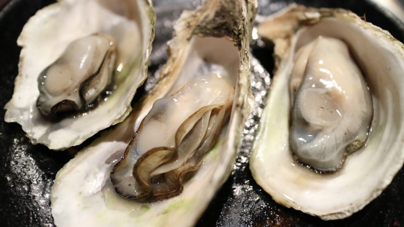  Oysters Within the Deepwater Horizon Oil Spill Region Developed Debilitating Tissue Abnormalities