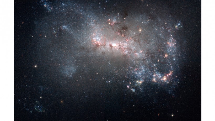 STELLAR FIREWORKS ARE ABLAZE IN GALAXY NGC 4449