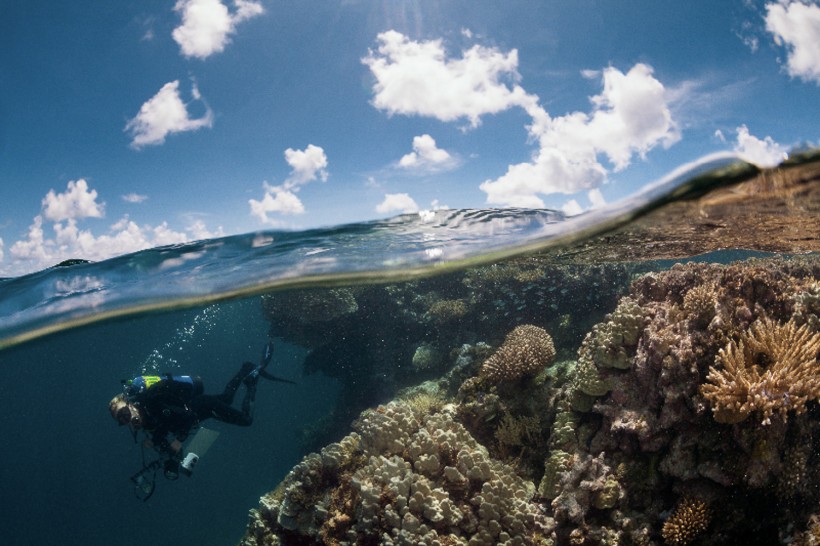 Scientific Diver on the Global Reef Expedition in French Polynesia