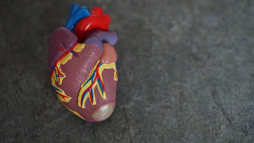  World Heart Day 2021: Here Are Some Practices to Have a Healthy Cardiovascular Health