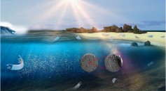 Disposable masks release microplastics to the aqueous environment with exacerbation by natural weathering