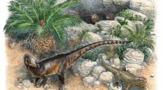 Life reconstruction of P. milnerae gen. et sp. nov. among the fissures of Pant-y-ffynnon and three individuals of the rhynchocephalian lepidosaur Clevosaurus cambrica during the Late Triassic.