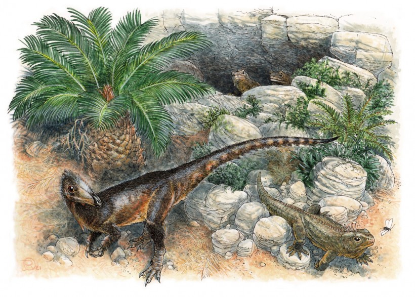 Life reconstruction of P. milnerae gen. et sp. nov. among the fissures of Pant-y-ffynnon and three individuals of the rhynchocephalian lepidosaur Clevosaurus cambrica during the Late Triassic.