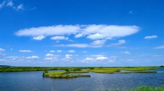  MIT Researchers Explore How Marsh Grass Provide Protection From Devastating Storm Surges Along the Shorelines
