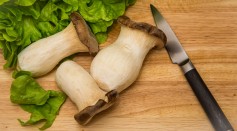 Science Times - Risk of Depression May Be Reduced by The Food We Eat; New Study Suggests Mushrooms May Help Curb Major Depressive Order