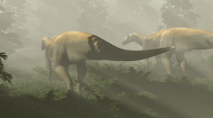 Life reconstruction of herbivorous dinosaurs based on 220-million-year-old fossil footprints from Ipswich, Queensland, Australia.