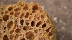  Newly Found Sponge-Like Structures Could Push Animal Evolution Back by Several Hundred Million Years