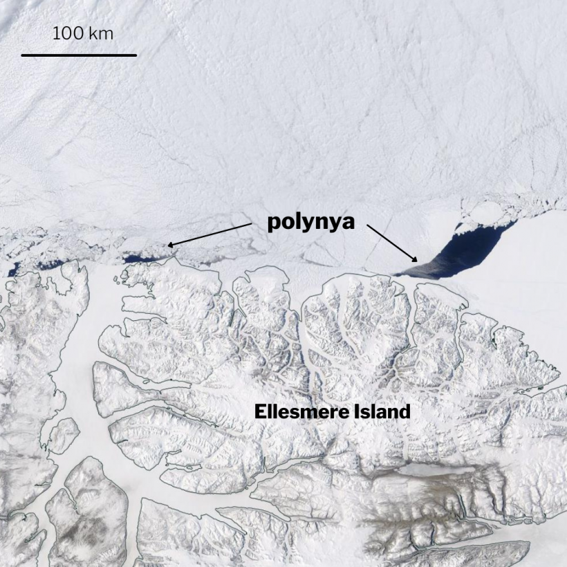 Arctic Polynya